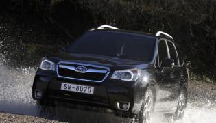Forester Форестер