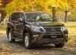 GX460 SUV